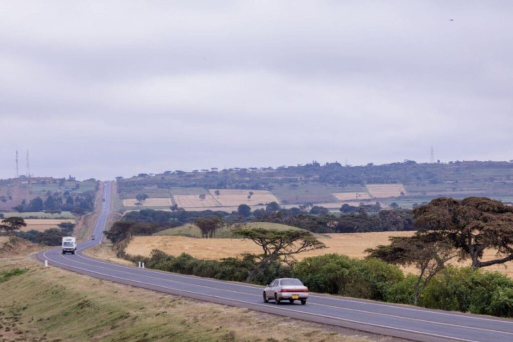 The Role of Engineers in Road Construction Projects