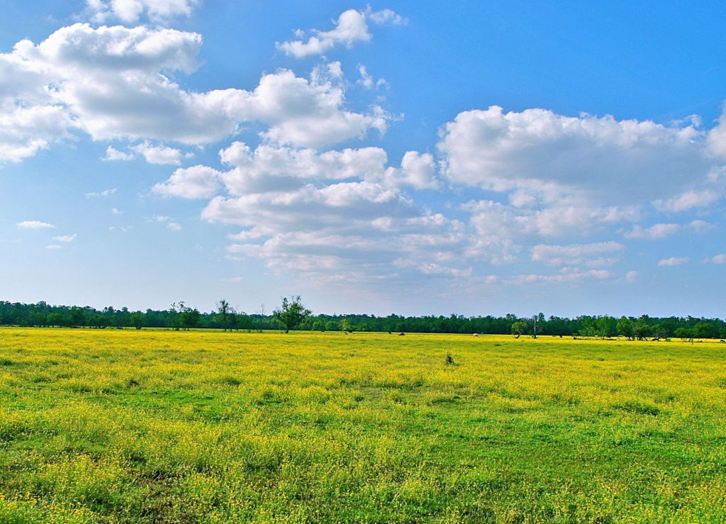 Cost of Land vs Construction: What Matters Most? (Complete 2026 Guide for Smart Investors & Homeowners) 1 Cost of Land vs Construction